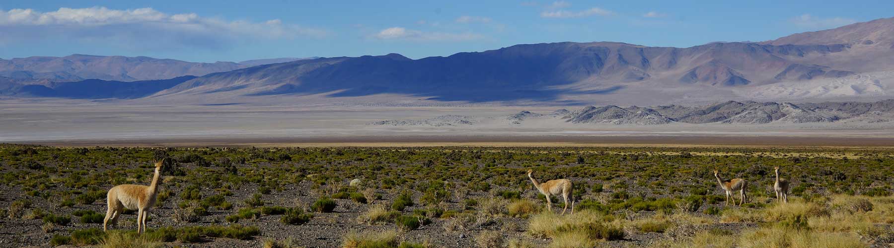 Réserve Laguna Blanca