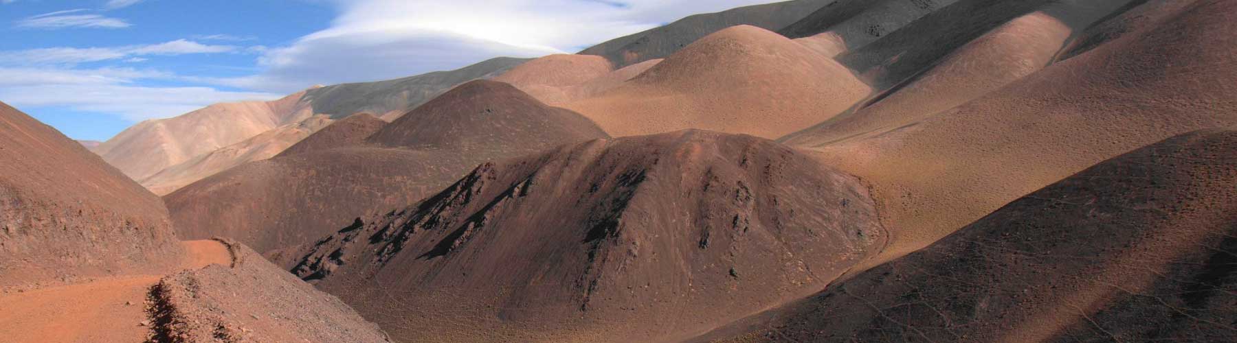 Précordillère, réserve Laguna Brava